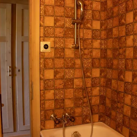 Chalet Suveran Apartment Arosa